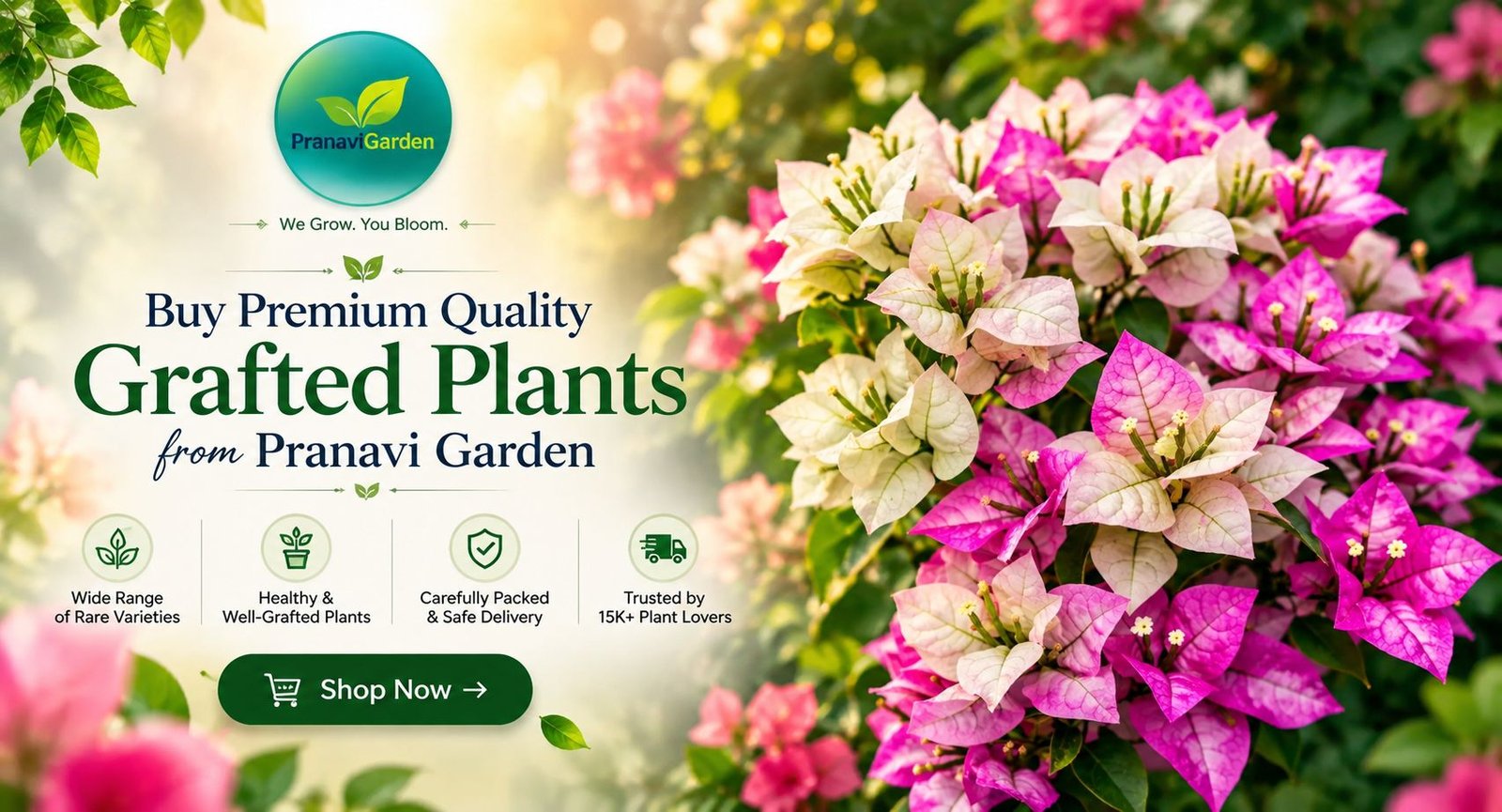 Pranavi Garden Grafted Plants Banner